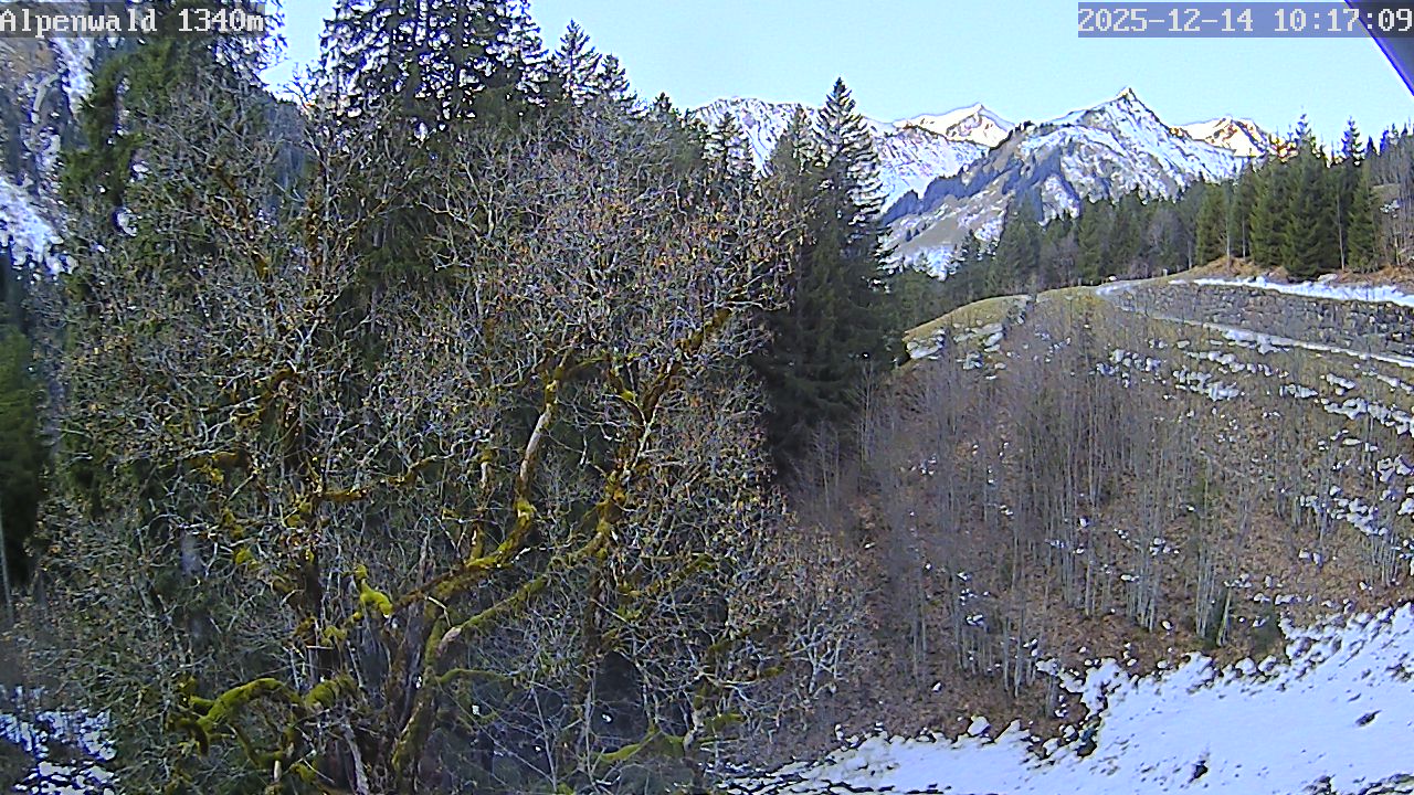 Image: Gasthof Alpenwald